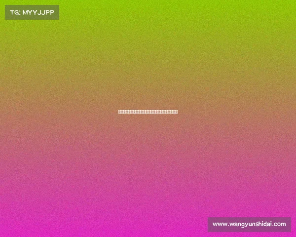 德甲比赛中犯规现象分析与球场纪律对球队表现的影响